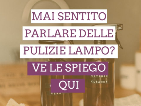pulizie lampo domestiche