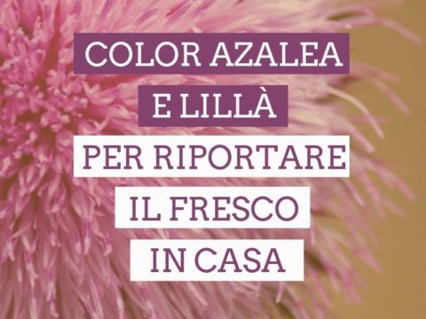 color azalea e lillà copertina